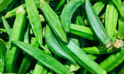 吃什么食物增加免疫力-吃什么食物可以加快心率网 | 吃什么食物能补钾,吃什么食物能软化血管